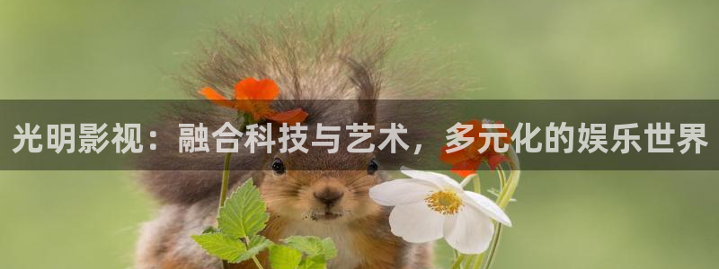 我不卡神马未来