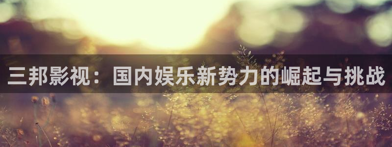 午夜神马影院电影理论
