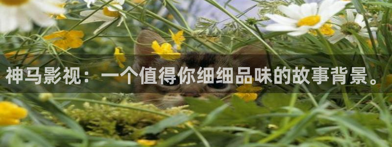 神马影院禁忌1