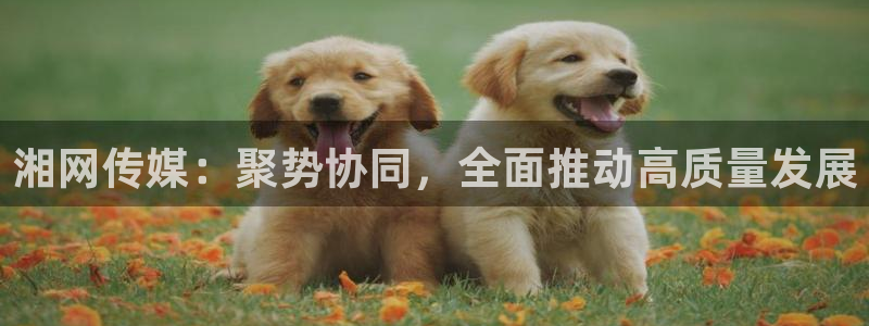 天机影院神马在线电影