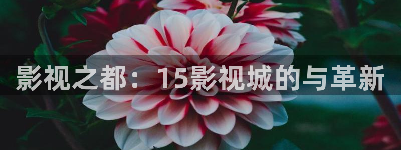 神马第九达达兔影院在线