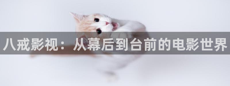 手机影视神马