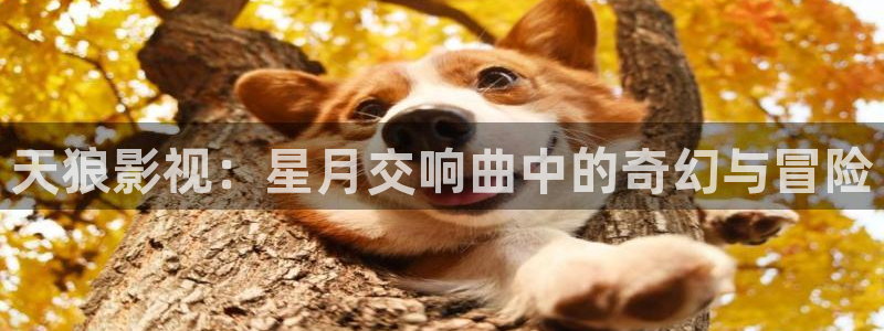 神马影院bbixx