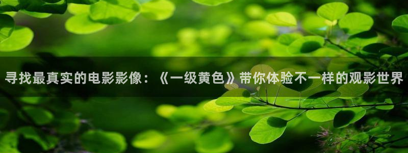 神马影院手机免费观看电影