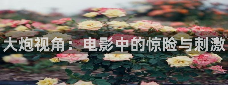 朋友的姐姐神马影院