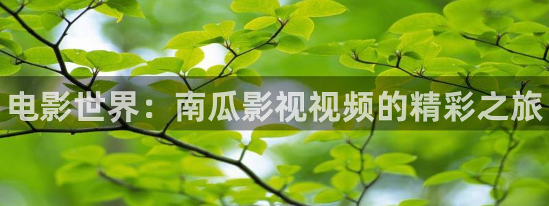 新闻图片
