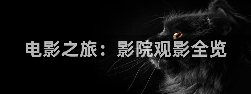 神马电影369