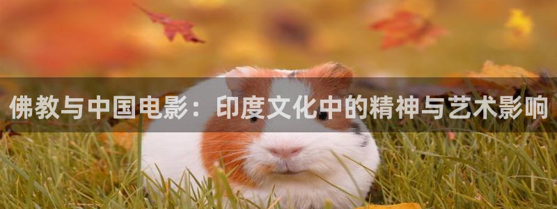 神马影院神马影院在线