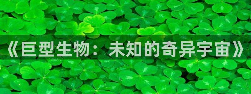 神马无线影院