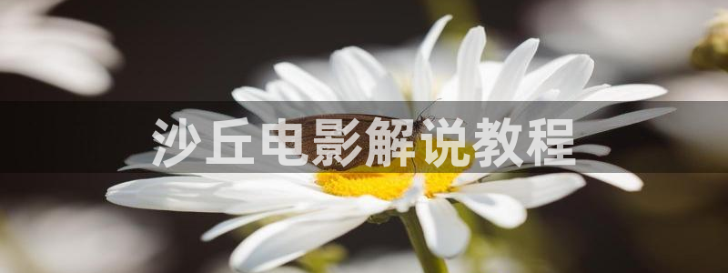 秋霞网神马影院