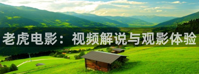 神马限制我不卡