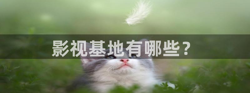 神马第九影视