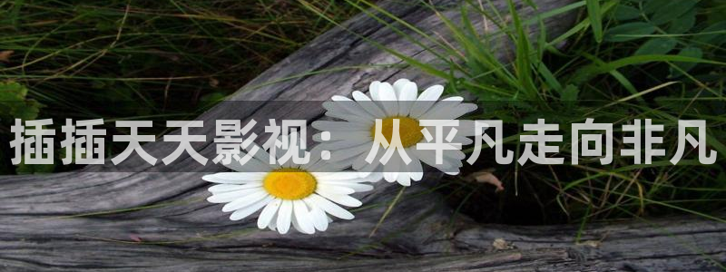 神马网电影院在线观看