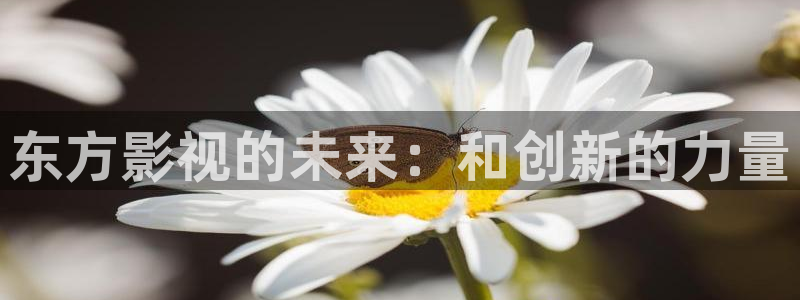 神马草民电影免费在线看完整