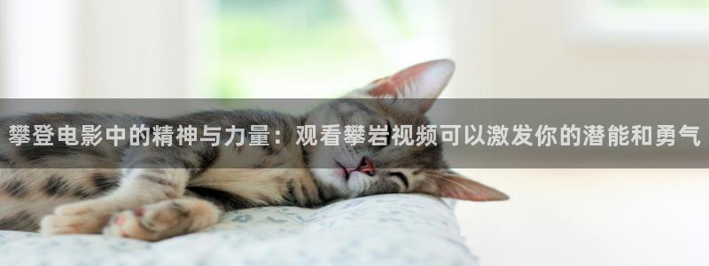 神马影院不卡伦理片