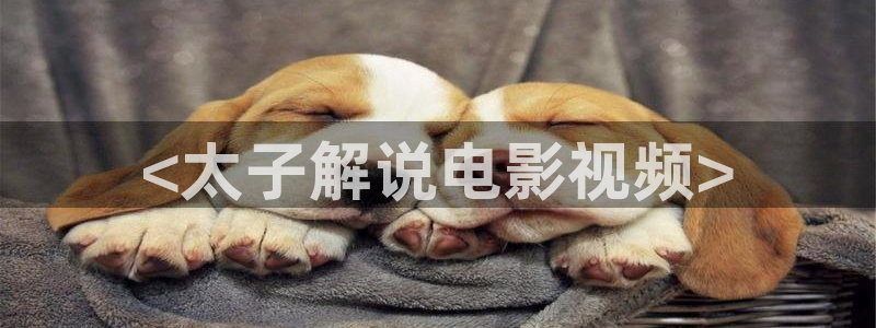 神马电影私人
