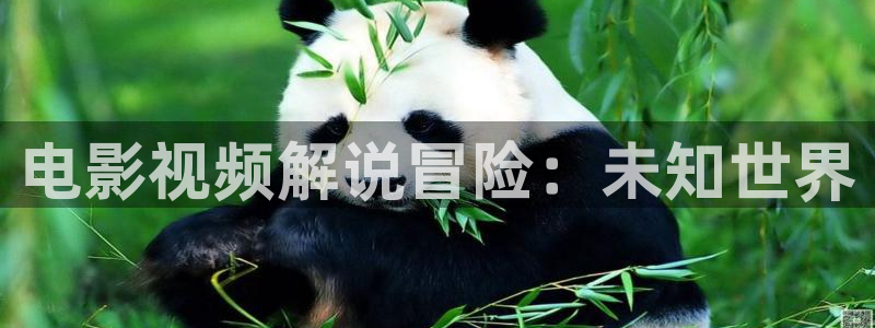 神马影视妈妈的朋友2