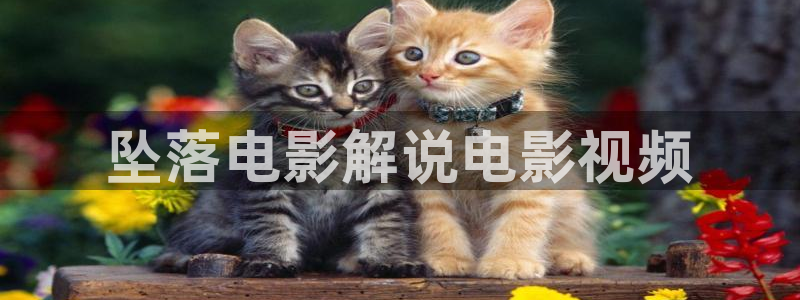 神马老子理论影院