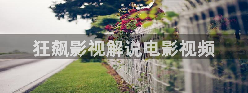 神马电影免费在线观看高清