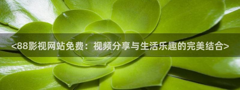神马影院我不卡在线看