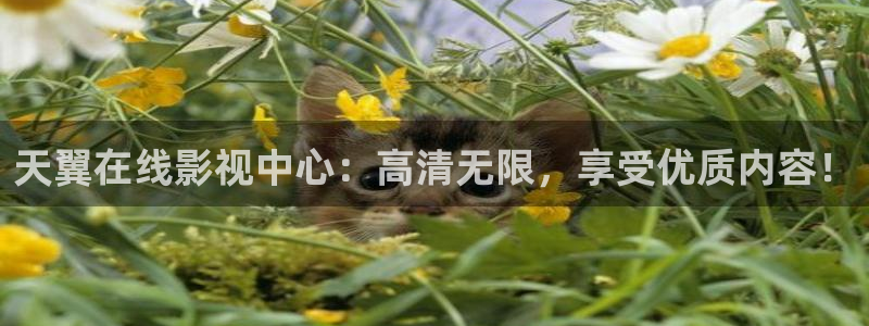 神马电影午夜久久