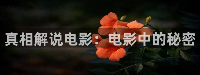 神马手机我不卡电影