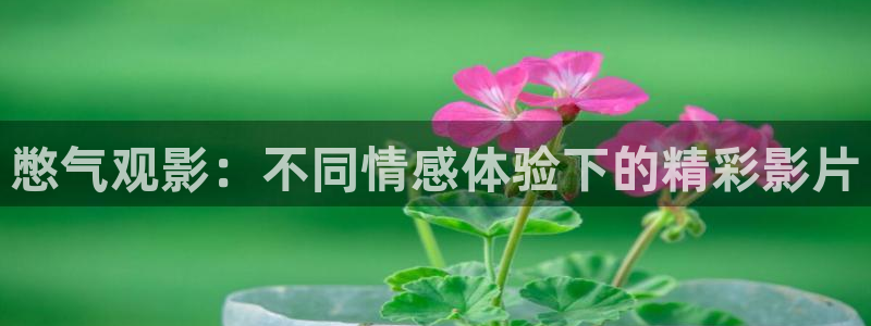 神马影院我不卡2
