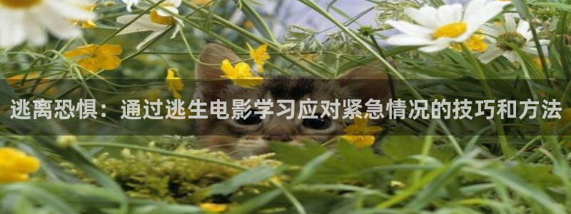 神马三级理伦理影院