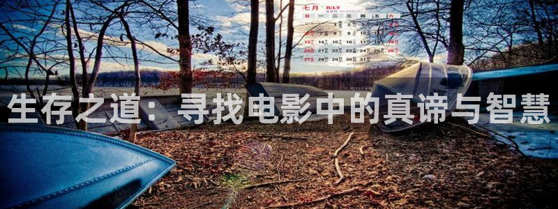 神马影院在线入口