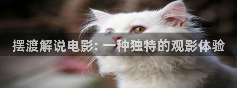 神马午夜影院嘿嘿
