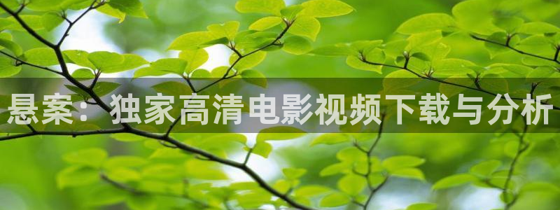 神马影院电视剧免费观看完整版大梦归离