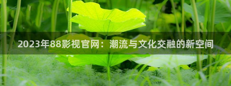 神马影院一区二区三区四区