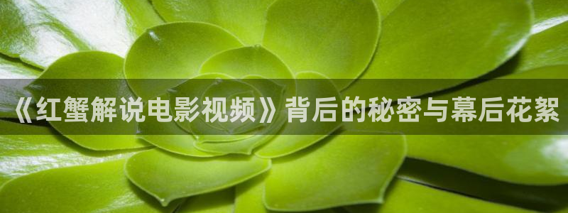 神马新午夜电影