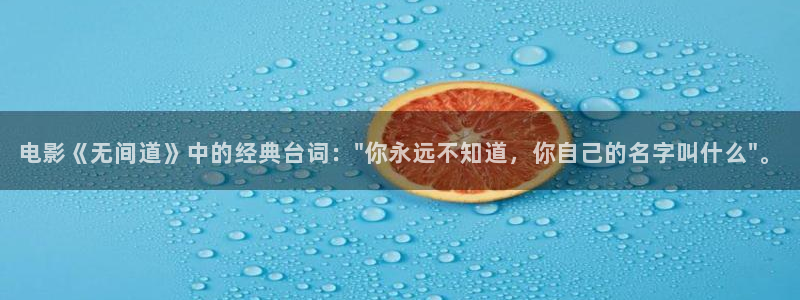 神马电影兔哒哒