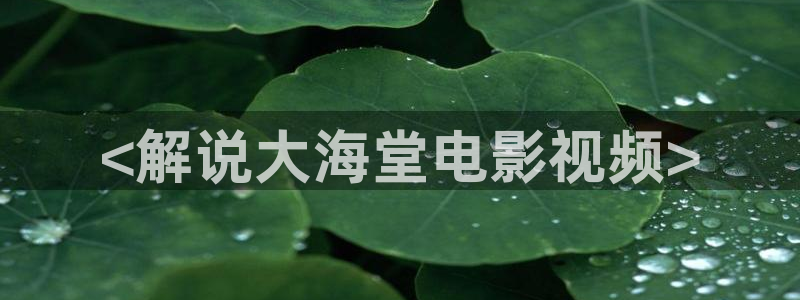 神马午夜电影888