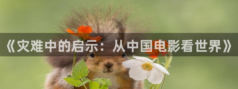 神马特片伦理
