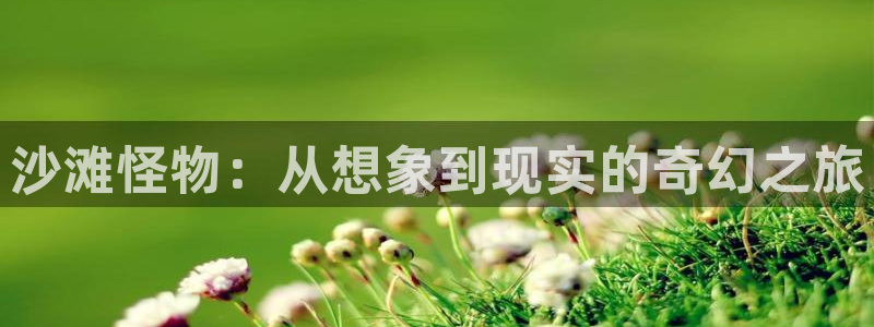 神马电影午夜通