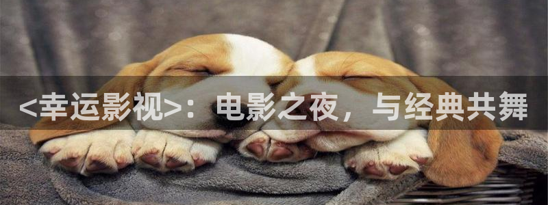 神马aⅴ影院